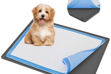 Dog Pee Pads: The Ultimate Solution for Indoor Training