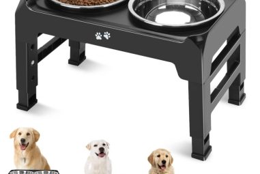 Elevated Dog Bowls: Improve Your Pet’s Comfort and Health
