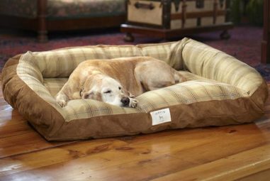 Orvis Dog Beds: Ultimate Comfort for Your Furry Friend
