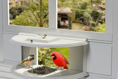 Window Bird Feeder