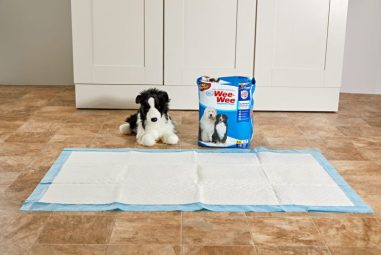 dog pee pad Ultimate Solution for Stress-Free Training